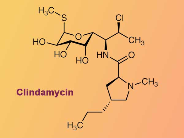 Clindamycin Phosphat- Thành phần có trong T3 Mycin